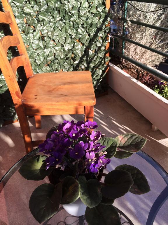 Shelisa B&B Rome Luaran gambar